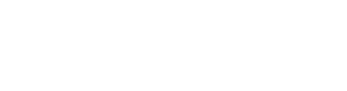 Usg Logo